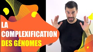 COURS DE TERMINALE SPÉCIALITÉ SVT  CHAP3 LA COMPLEXIFICATION DES GÉNOMES Bio Logique [upl. by Notsehc]