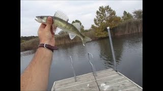 Episode 107 Fishing Coal Mine Pits Walleye and Bass [upl. by Bekki]