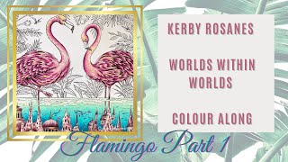 Colour Along  Worlds Within Worlds  Flamingo  Part 1 [upl. by Goldie]