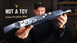 Sax in Your Pocket Roland Aerophone Mini Review [upl. by Aivilys769]