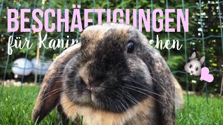 10 Beschäftigungen für Kaninchen 🐰 [upl. by Legin]