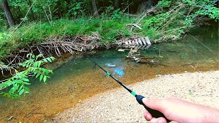 Action Packed Small Creek Fishing [upl. by Htebaile]