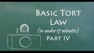 Understand Tort Law in 17 Minutes Part IV [upl. by Nylicaj]