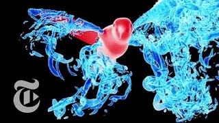 The Best Fluid Dynamics Physics Videos of 2015  ScienceTake  The New York Times [upl. by Dleifrag]