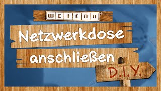 Netzwerkdose anschließen verkabeln  WEICON TOOLS [upl. by Broek915]