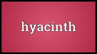 Hyacinth Meaning [upl. by Anahsak]