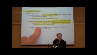 PHARMACOLOGY NARCOTIC ANALGESICS by Professor Fink [upl. by Oisinoid]