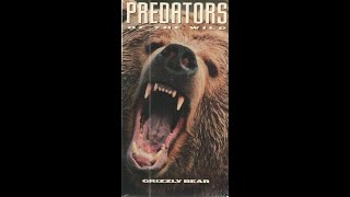 Predators of the Wild Grizzly Bear VHS full documentary 1992 [upl. by Persse]