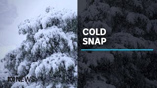 Parts of Tasmania have woken to a rare snowy surprise  ABC News [upl. by Yenaled]