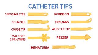 How To Use A Urinary Intermittent Coude Catheter [upl. by Riaj]