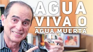 Episodio 1383 Agua Viva o Agua Muerta [upl. by Ynove]