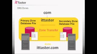 DNS Tutorial for Beginners [upl. by Frodi]