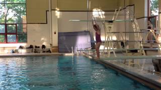 Teach a Flip for Springboard Diving [upl. by Cunningham706]