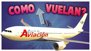 ¿Cómo hace un avión para volar [upl. by Bohi]