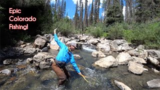 The TOP 10 fishing spots in Colorado  McFly Angler Fly Fishing [upl. by Rufe]