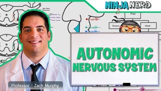 Neurology  Autonomic Nervous System [upl. by Popelka]