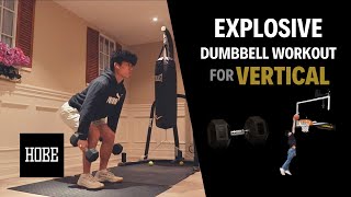 EXPLOSIVE Dumbbell Exercises to JUMP HIGHER  Vertical Jump [upl. by Khalid]