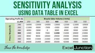 SENSITIVITY ANALYSIS with Data Table in Excel  ExcelJunctioncom [upl. by Nwahsan488]