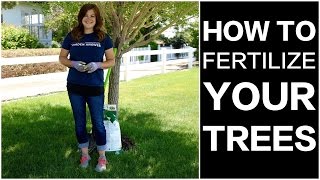 How to Fertilize Trees [upl. by Astor]