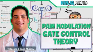 Ascending Tracts  Pain Modulation Gate Control Theory [upl. by Haines]