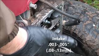 Single Cylinder Briggs and Stratton OHV VALVE ADJUSTMENT Procedure and Specs [upl. by Aremat]