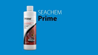 Seachem Prime English Sub [upl. by Byram]