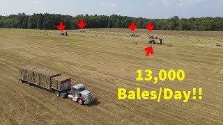 Family Farm with MASSIVE Hay Production 13000 balesday [upl. by Dwan]