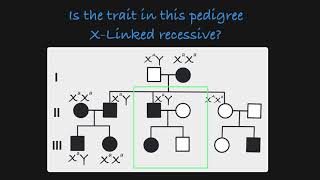 XLinked Recessive Traits in a Pedigree [upl. by Anitsej454]