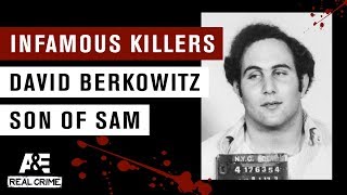 Infamous Killers David Berkowitz the Son of Sam  AampE [upl. by Oribel]