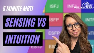 Sensing vs Intuition in 5 Minutes 5 Minute MBTI [upl. by Ahsiyk]