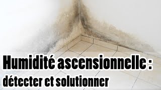 Humidité ascensionnelle  explications identification et solutions [upl. by Eramal807]