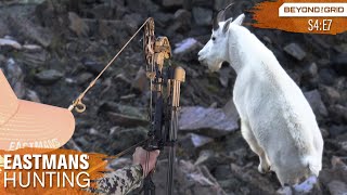 Bow Hunting Mountain Goats  Backcountry Hunting Eastmans Beyond the Grid [upl. by Phelgen130]