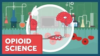 The Science of Opioids [upl. by Ykcul713]