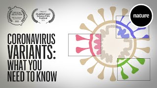 Coronavirus variants What you need to know [upl. by Aivirt]