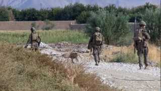 US Marines In Sangin Afghanistan [upl. by Jenilee]