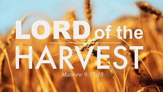 The HARVEST is PLENTIFUL but the LABOURERS are FEW  Matthew 93538 [upl. by Naira]