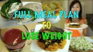 Full Meal Plan to Lose Weight Step by Step Recipes [upl. by Odinevneib782]