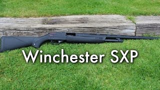 Winchester SXP Black Shadow Pump Action  Product Review [upl. by Etterrag]