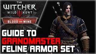 WITCHER 3 Grandmaster FELINE Armor Set GUIDE ► Diagrams Locations Crafting Stats Appearance [upl. by Lleryt13]