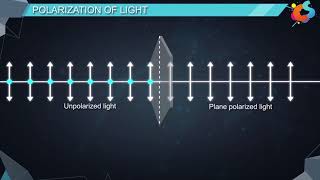 16  Class 12  Physics  Wave Optics  Polarisation [upl. by Kosel]