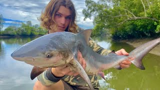 Shark Fishing Logan River  DEADLY Australian BULLSHARK Pt2 [upl. by Adelice]