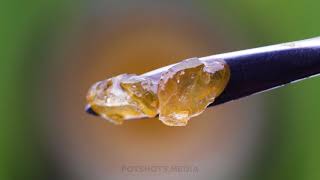 Clementine THC Diamonds Crack and Vaporize [upl. by Alcot]