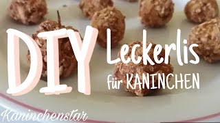 DIY Leckerlis für Kaninchen 🐇🍭  Kaninchenstar [upl. by Cherish]