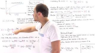 Catalytic Efficiency of Enzymes kcatKm [upl. by Loella]