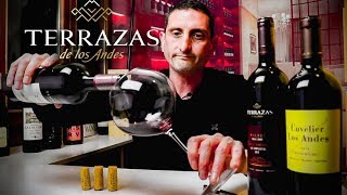 Terrazas de los Andes Malbec  Argentina Wine Review [upl. by Nwahsak135]