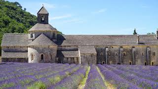 Chant des Cigales en Provence  Relaxation nature9 H  Ecran Noir [upl. by Eneluj954]