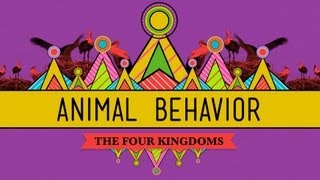 Animal Behavior  CrashCourse Biology 25 [upl. by Asimaj59]