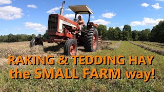 the basics of raking amp tedding hay [upl. by Wemolohtrab]