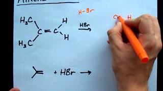 Alkene  HBr Reaction  Alkyl bromide [upl. by Carbo712]