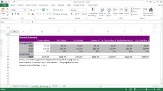 How to Use Excel Scenario Manager [upl. by Adaurd761]